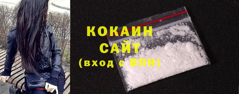 COCAIN Fish Scale  закладки  Уссурийск 