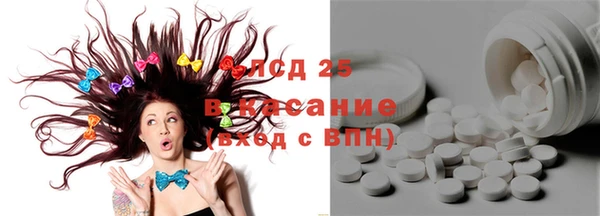 стаф Каменск-Шахтинский