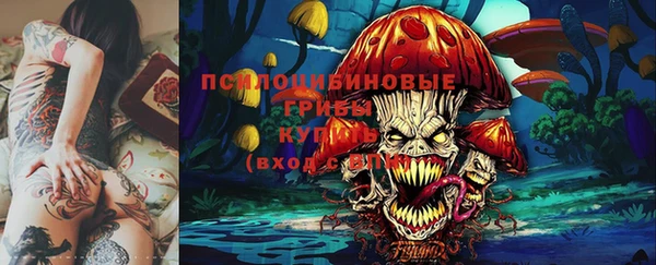 спиды Карпинск