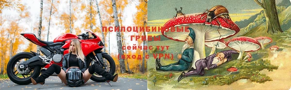сатива Каменногорск