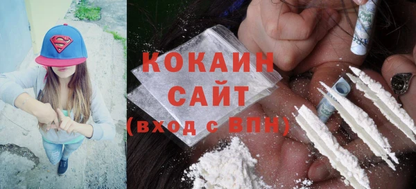 стаф Каменск-Шахтинский