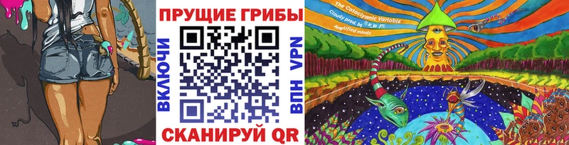где можно купить   Уссурийск  Галлюциногенные грибы прущие грибы 